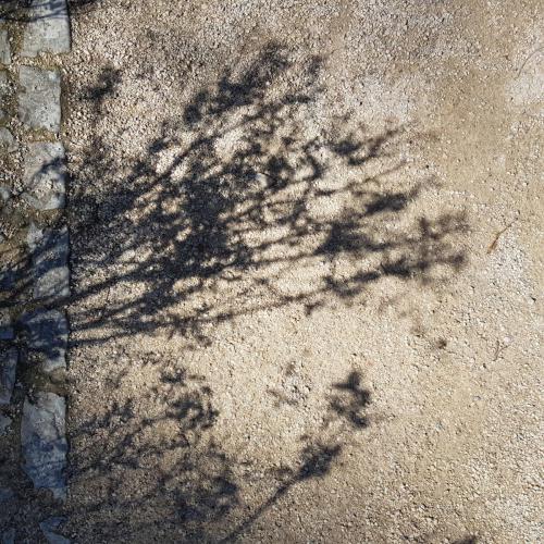 shadow play