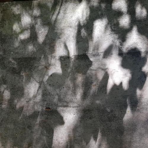 shadow play