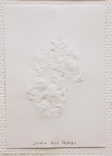 20181012 220456