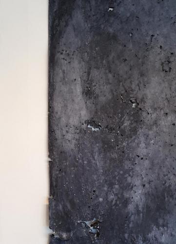 20190616 152024